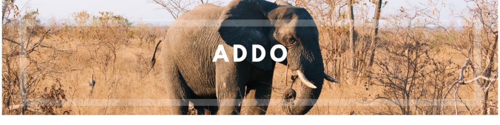 Addo banner