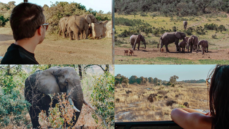 Addo National Park, visitare