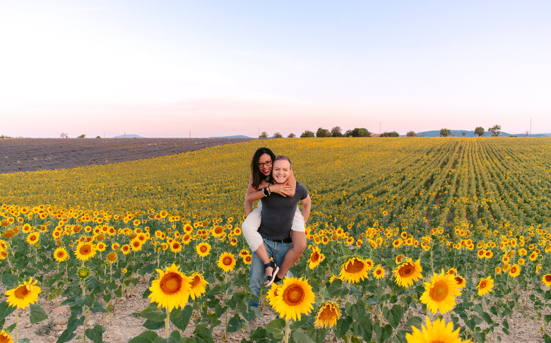 campi di girasoli e lavanda