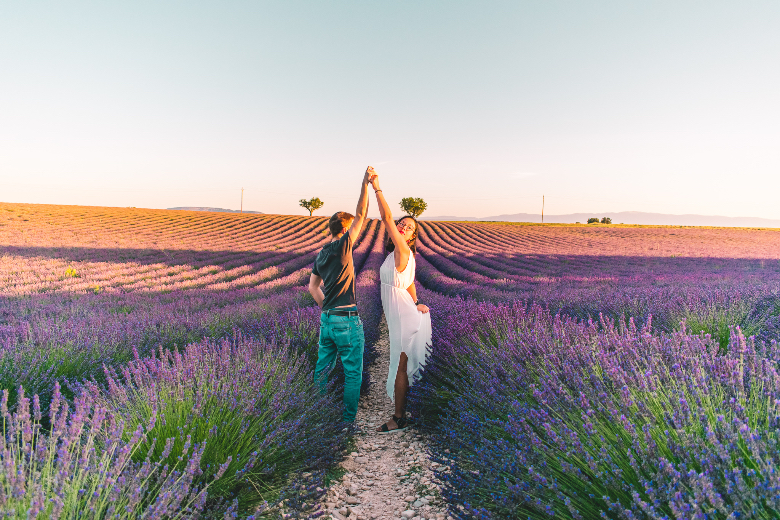 campi di lavanda valensole, provenza