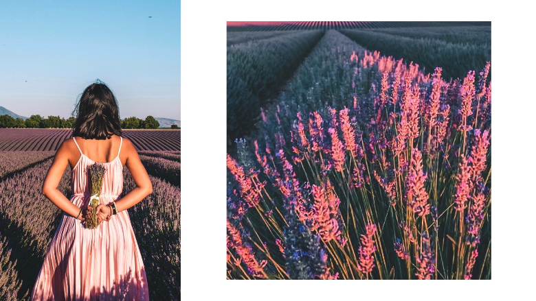 foto di spalle + lavanda