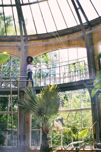 orto botanico amsterdam olanda