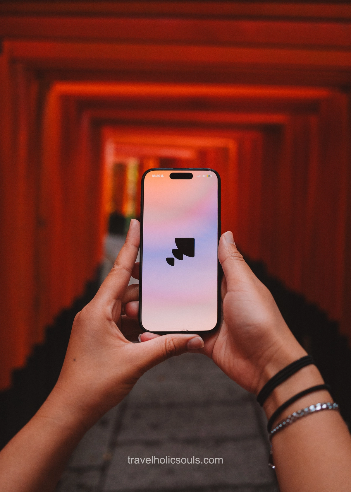 connessione internet in Giappone