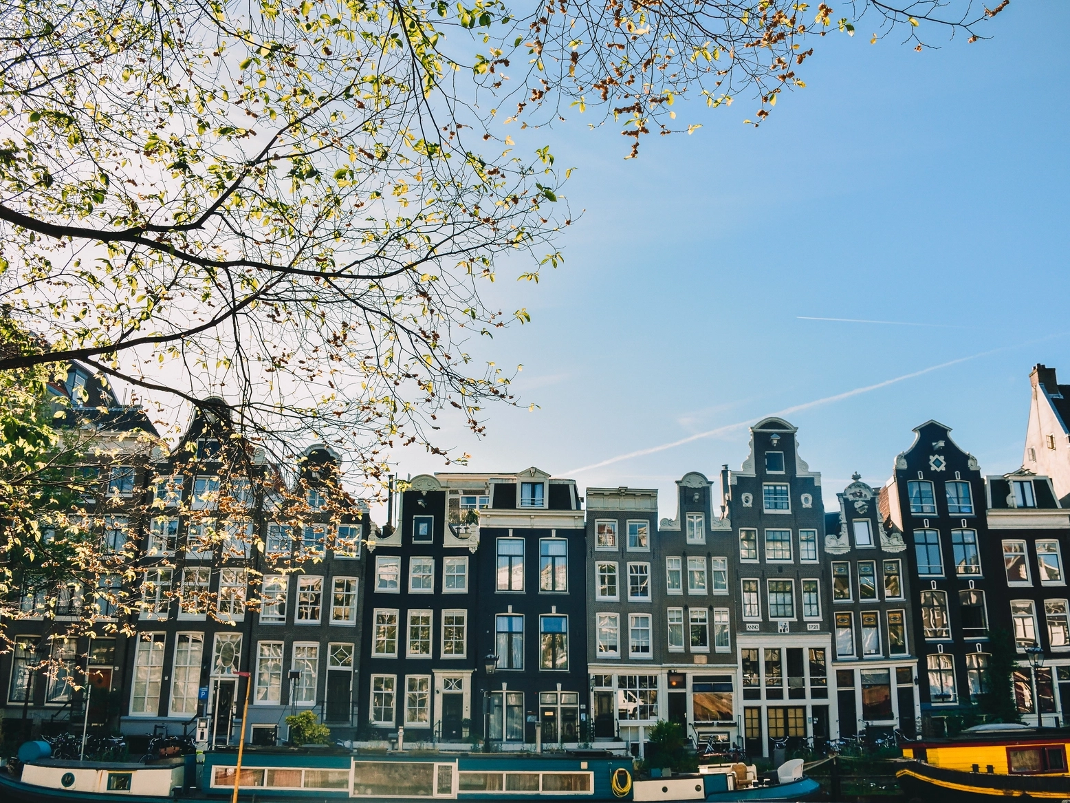 immagine copertina OLANDA mobile