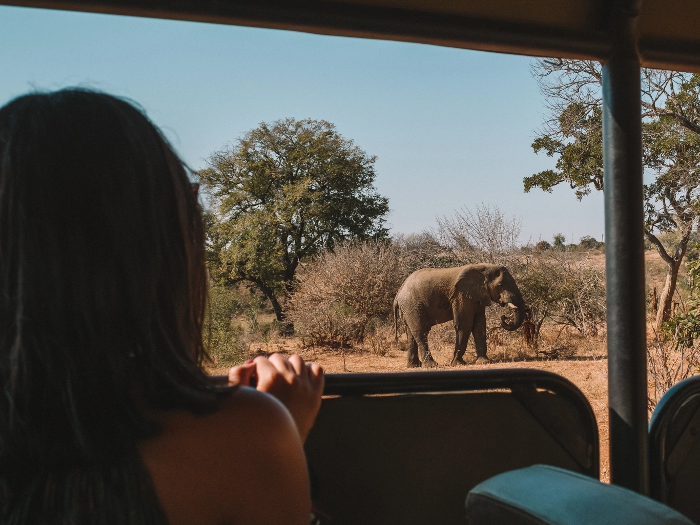 Immagine copertina Sud Africa mobile