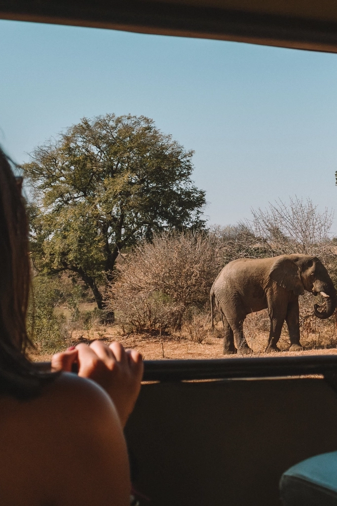 Immagine copertina Sud Africa mobile