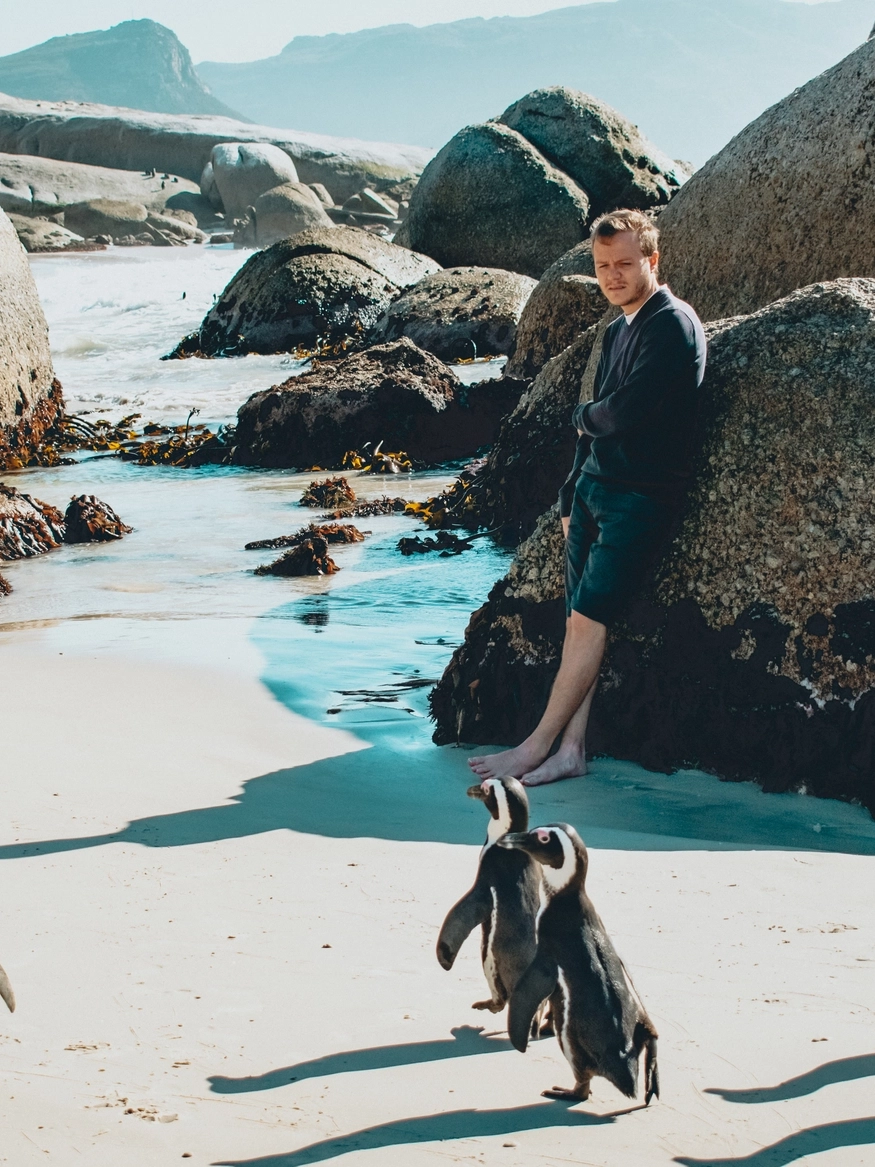 Immagine-copertina IMPARA A mobile