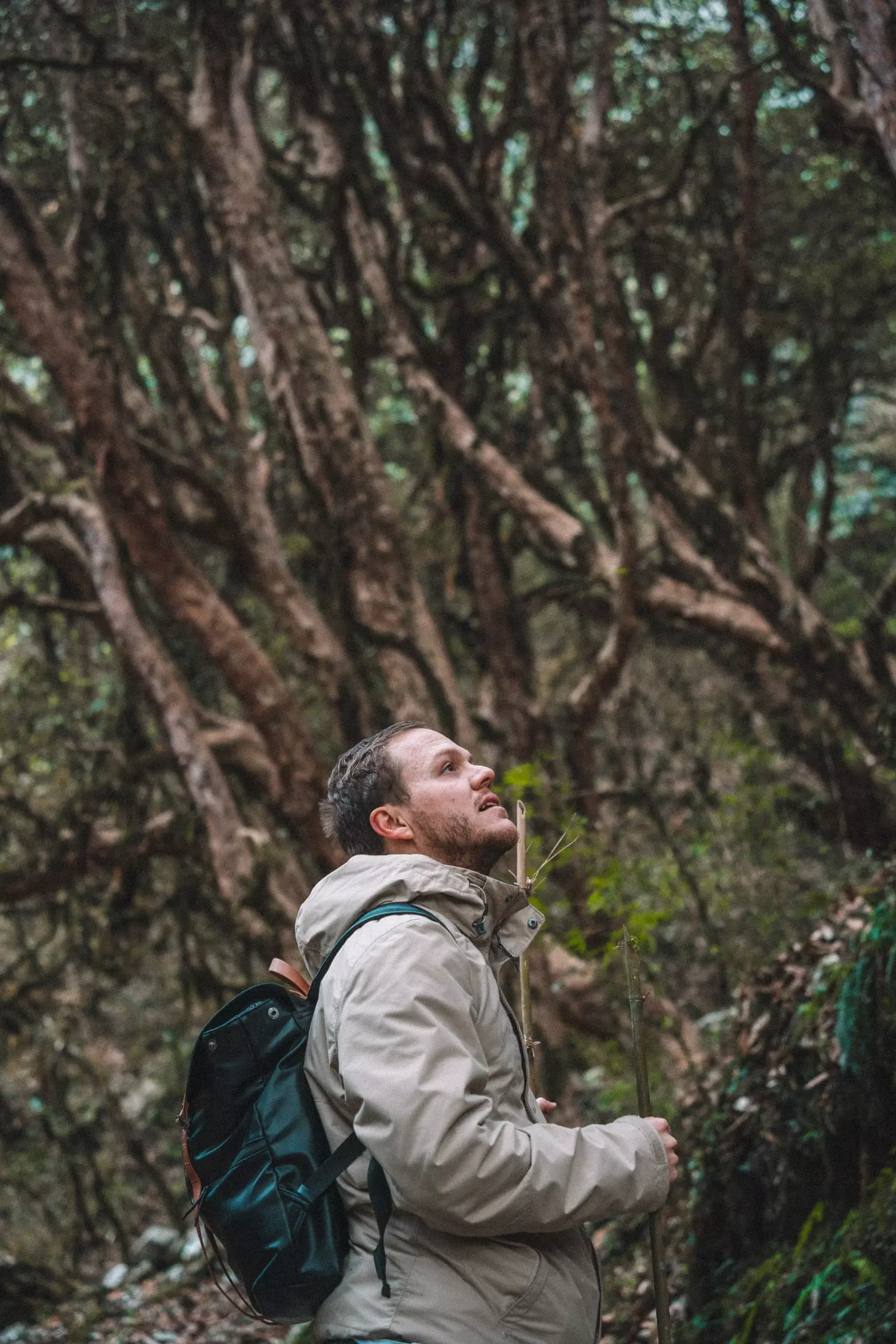 simone ammira foresta nepal